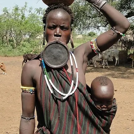 La Casuca De La Brevera *