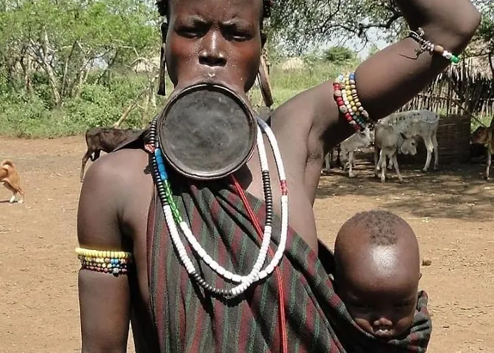 La Casuca De La Brevera *